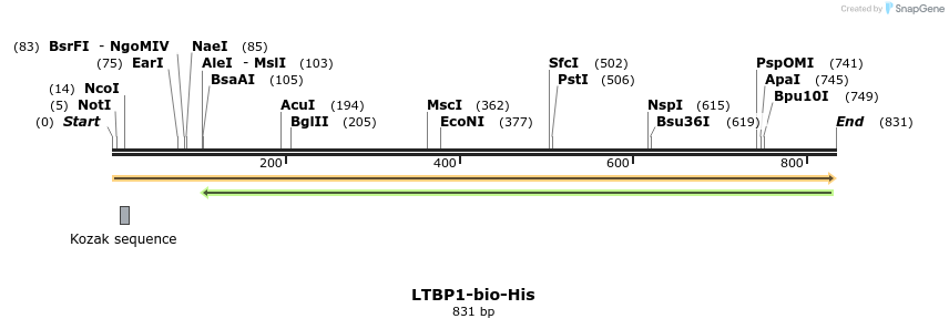 94600_map