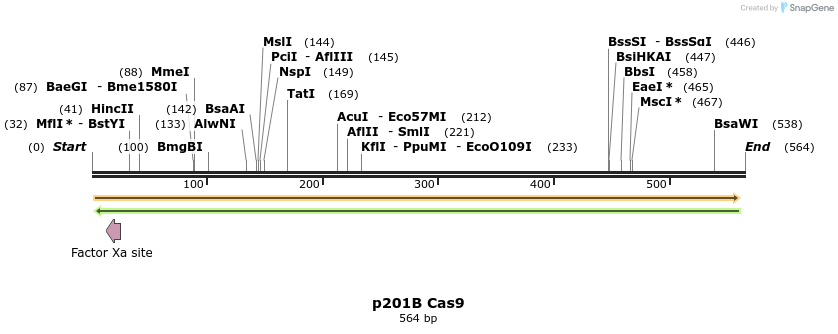 94601_map
