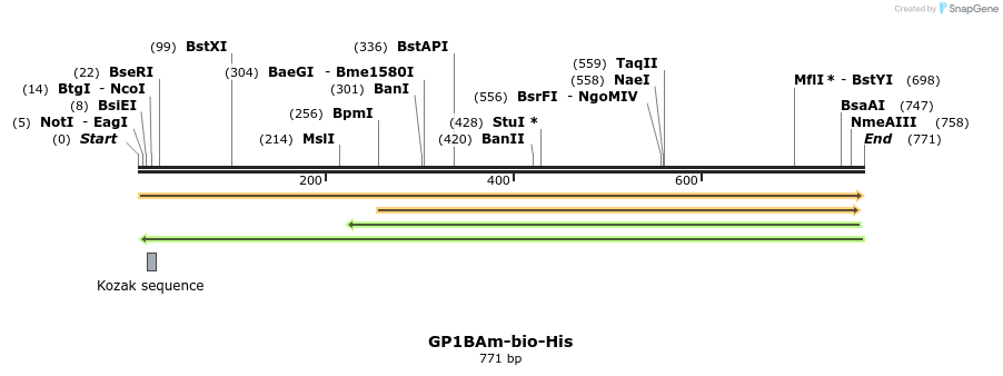 94602_map