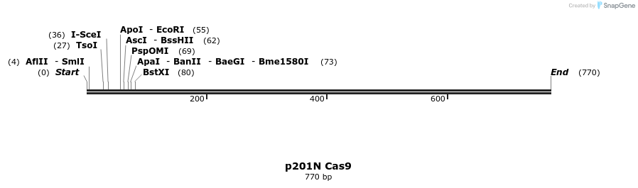 94609_map