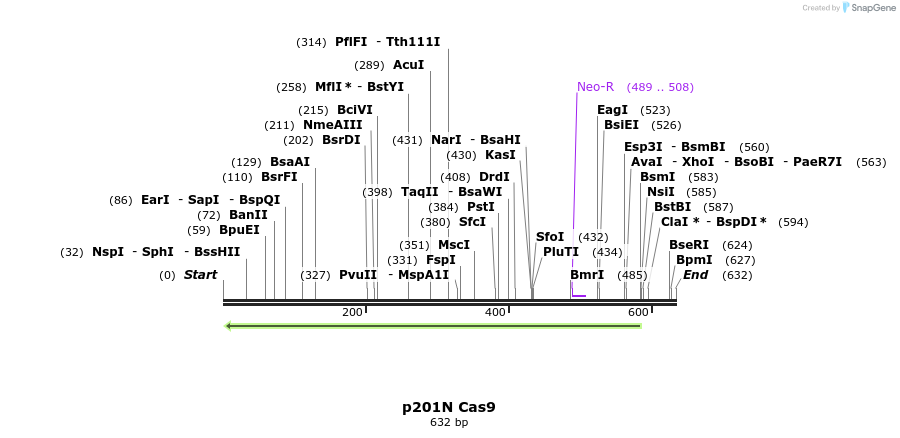 94610_map