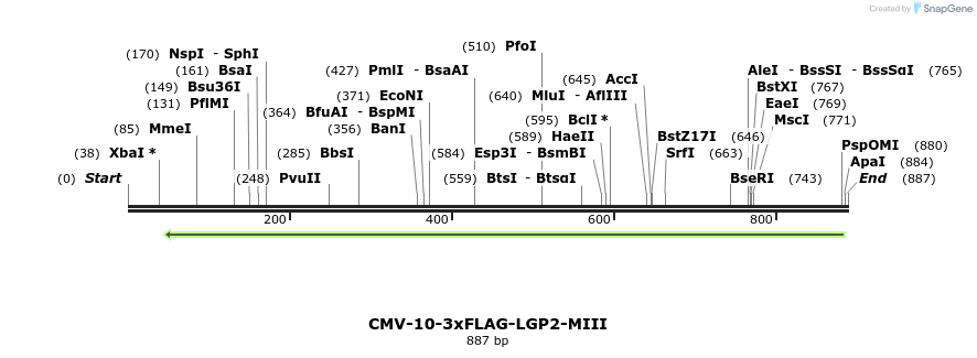 94616_map
