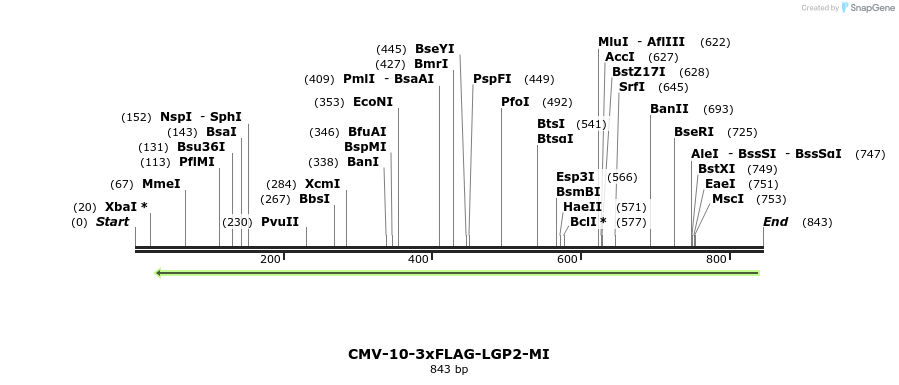 94618_map