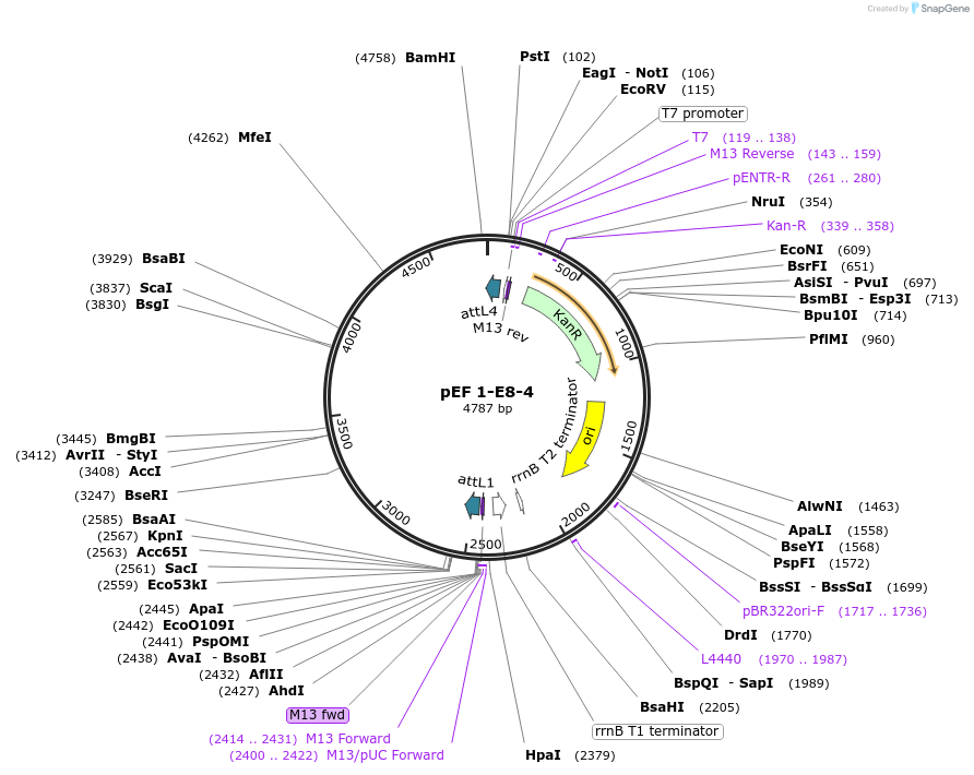 9462_map