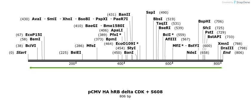 94620_map