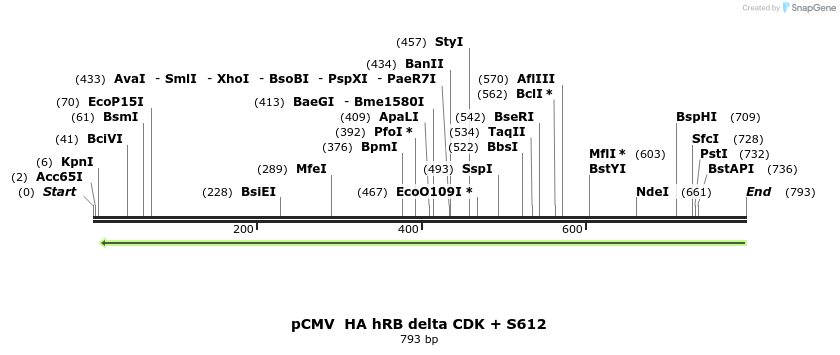 94621_map