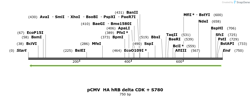 94623_map