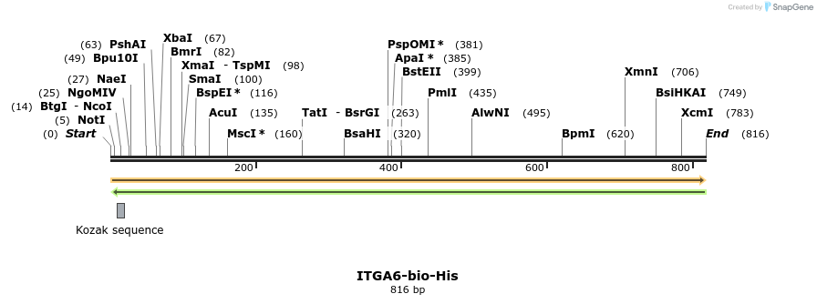 94624_map