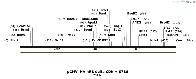 94629_map