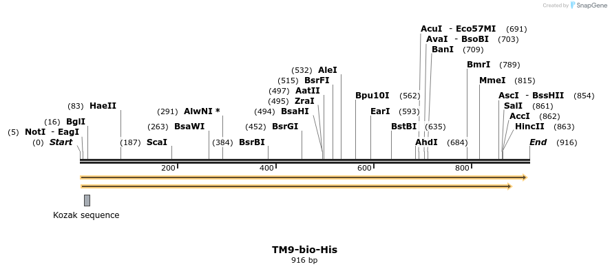 94632_map