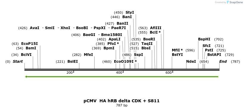 94633_map