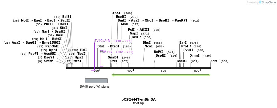 94637_map