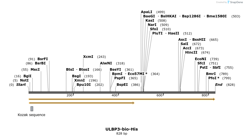 94638_map
