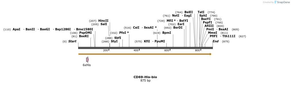 94642_map