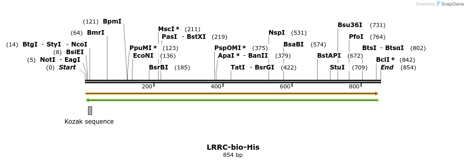 94644_map