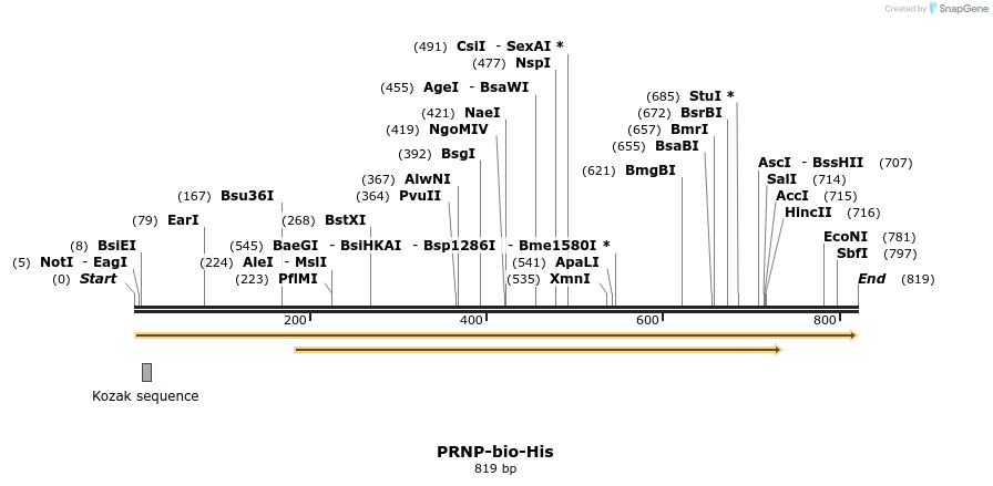 94649_map