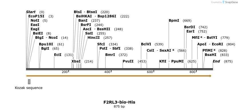 94653_map