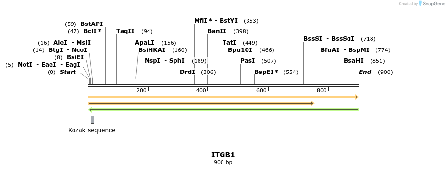 94655_map