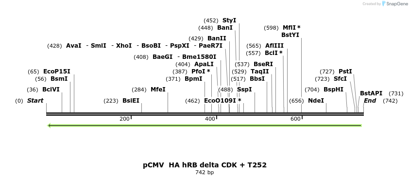 94658_map
