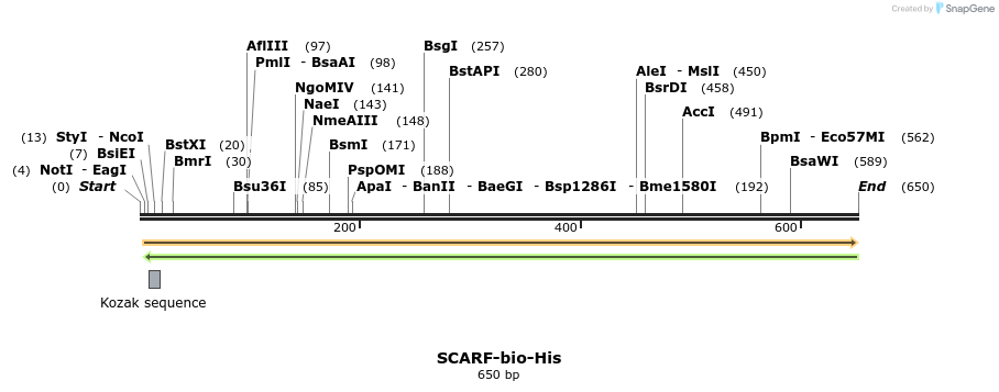 94659_map