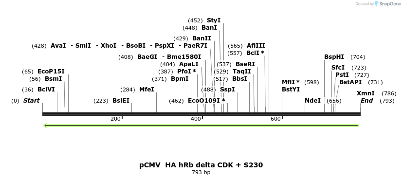 94661_map