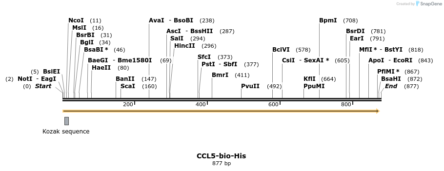 94667_map