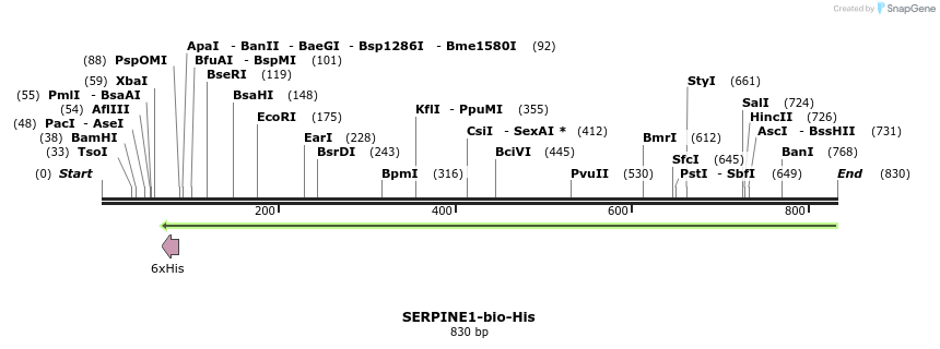 94675_map