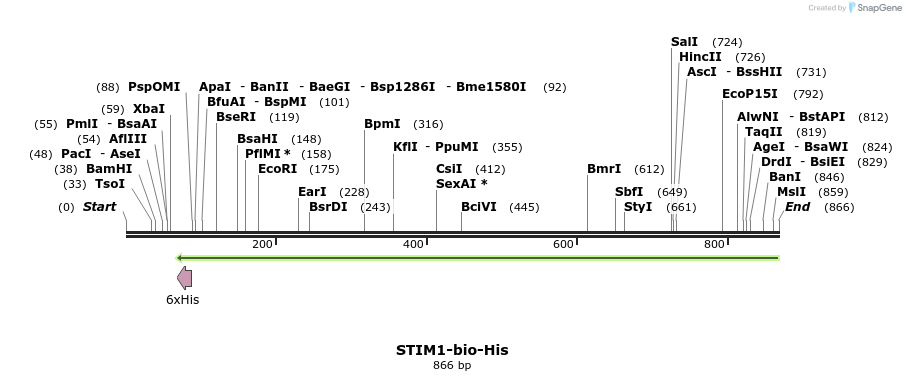 94681_map
