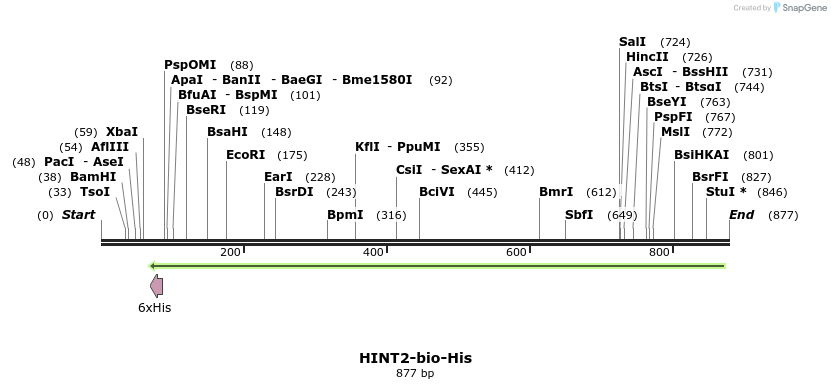 94682_map
