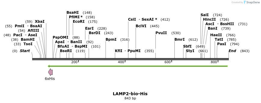 94683_map
