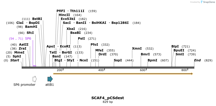 94684_map