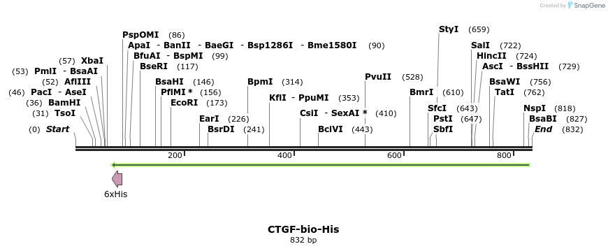 94685_map