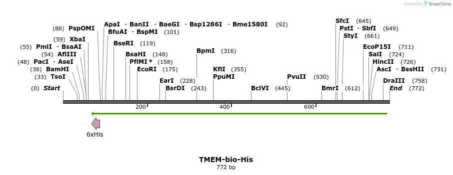 94688_map