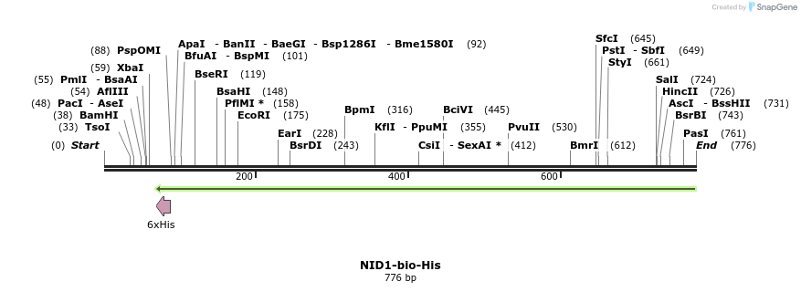 94689_map