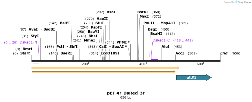 9469_map