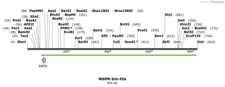 94691_map