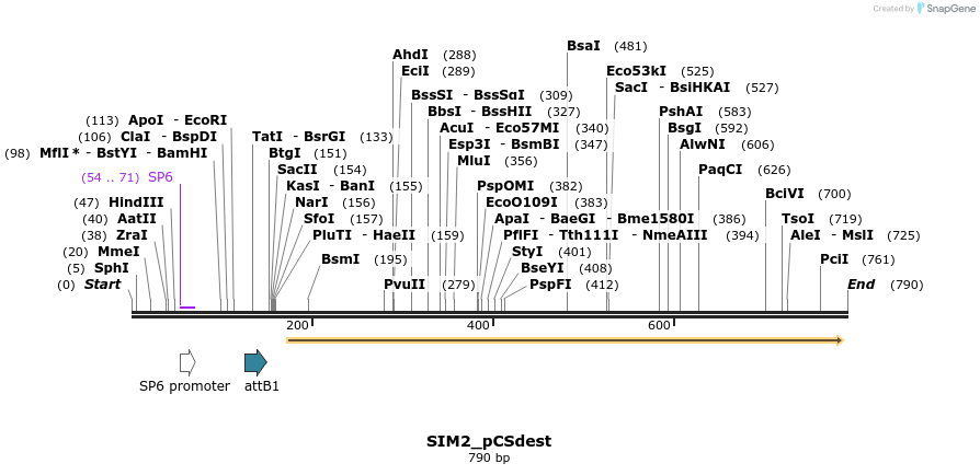 94696_map