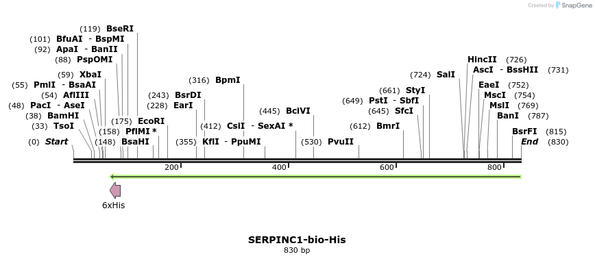 94699_map