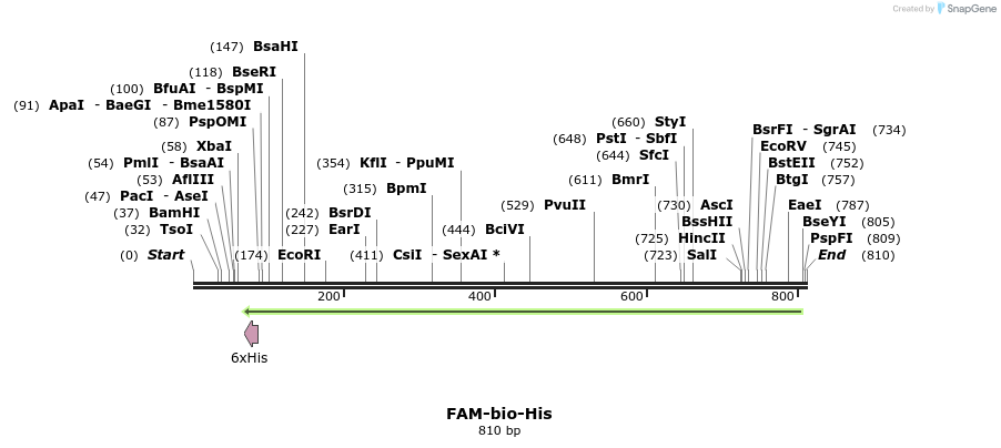 94701_map