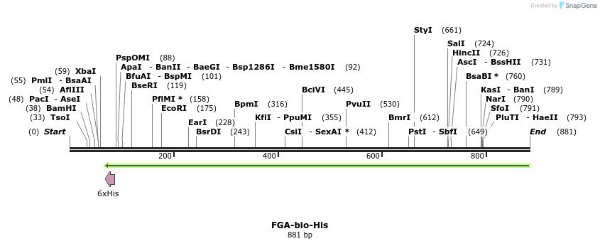 94705_map