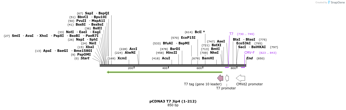 94745_map