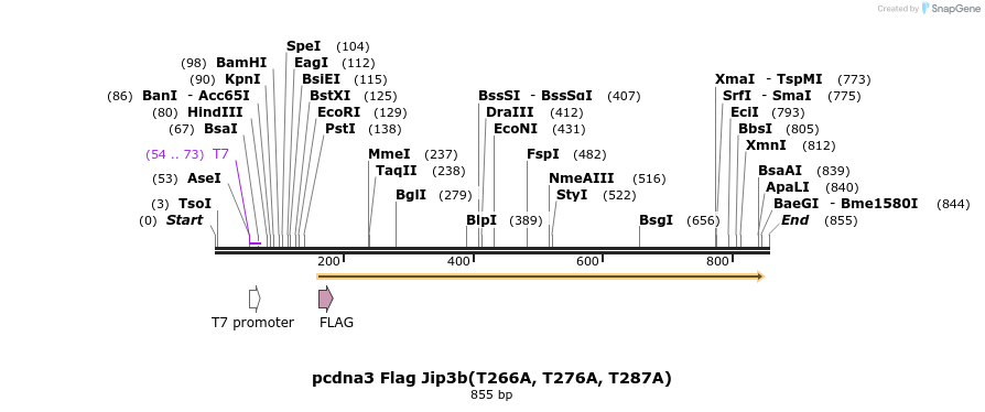 94751_map