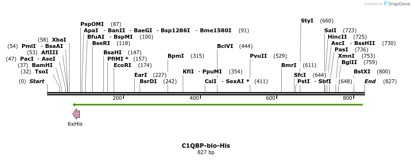 94762_map