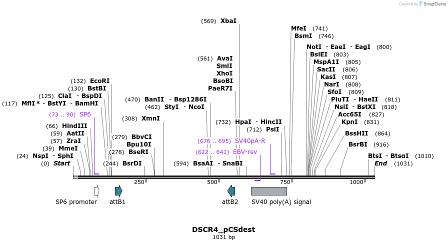 94764_map