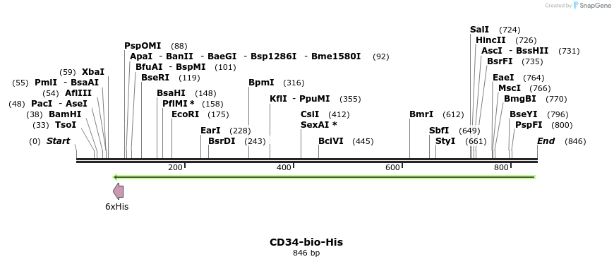 94768_map
