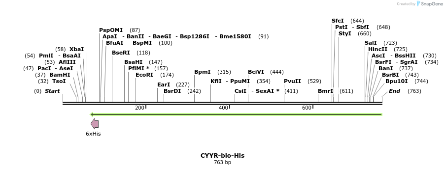 94771_map