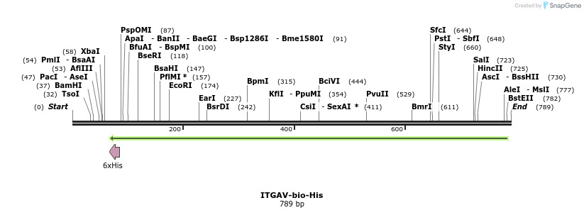 94777_map