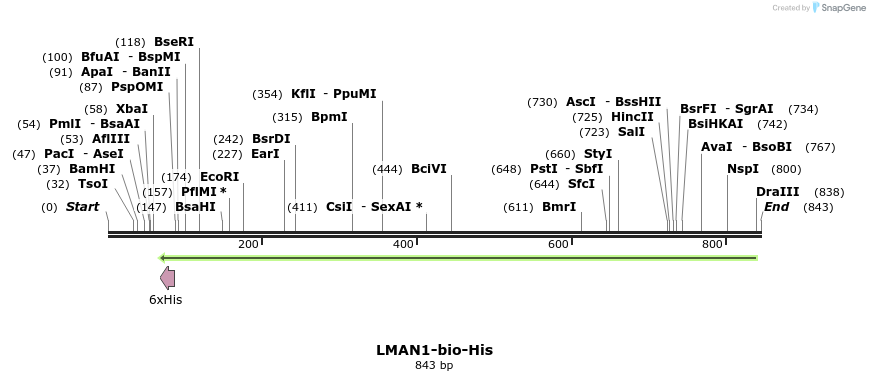 94778_map