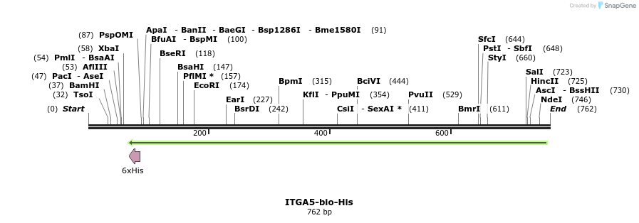 94779_map