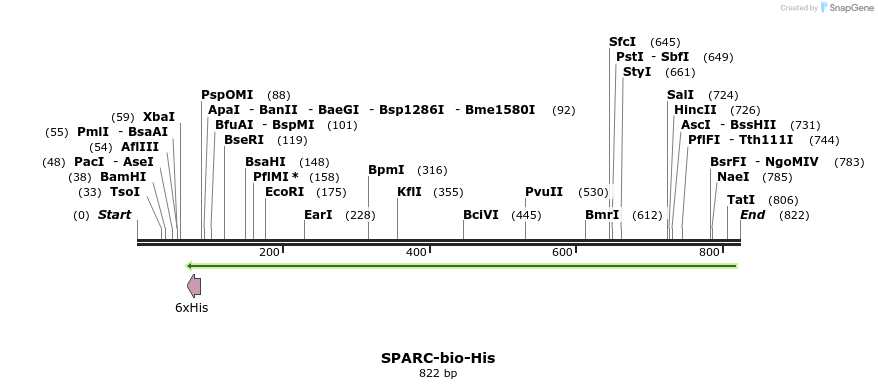 94784_map